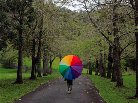 Rainy Day with rainbow umbrella in the Orara Valley